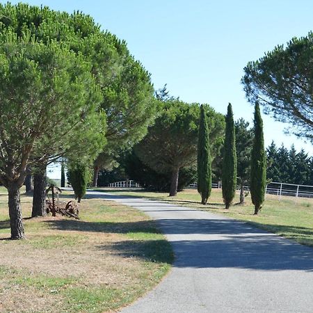 Vila Les Moineaux Du Domaine Du Moulin Etables  Exteriér fotografie